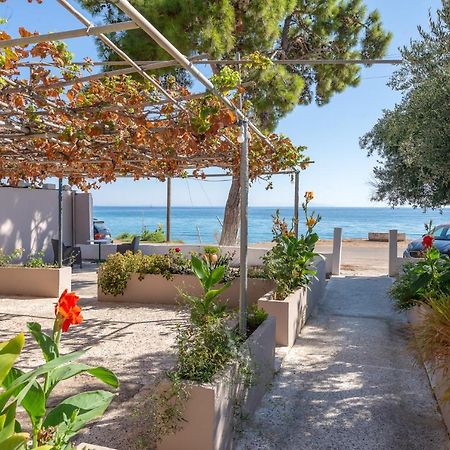 Akrogiali Studios Poros  Exterior foto