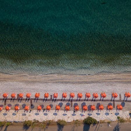 Akrogiali Studios Poros  Exterior foto